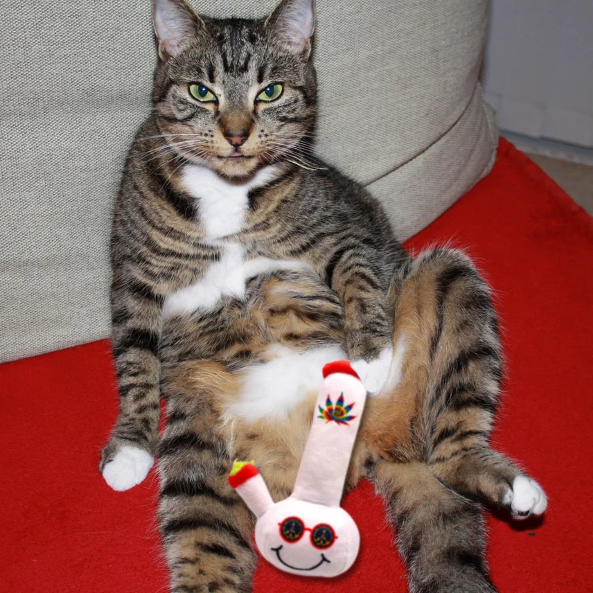 Lil' Billie Bong, Weed Theme Cat Toy