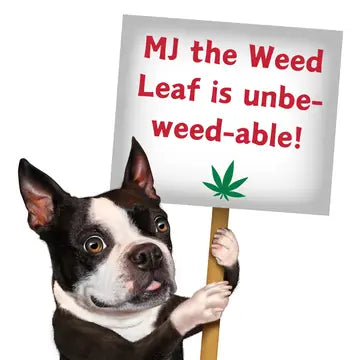 Mj the Weed Leaf, Dog Toy
