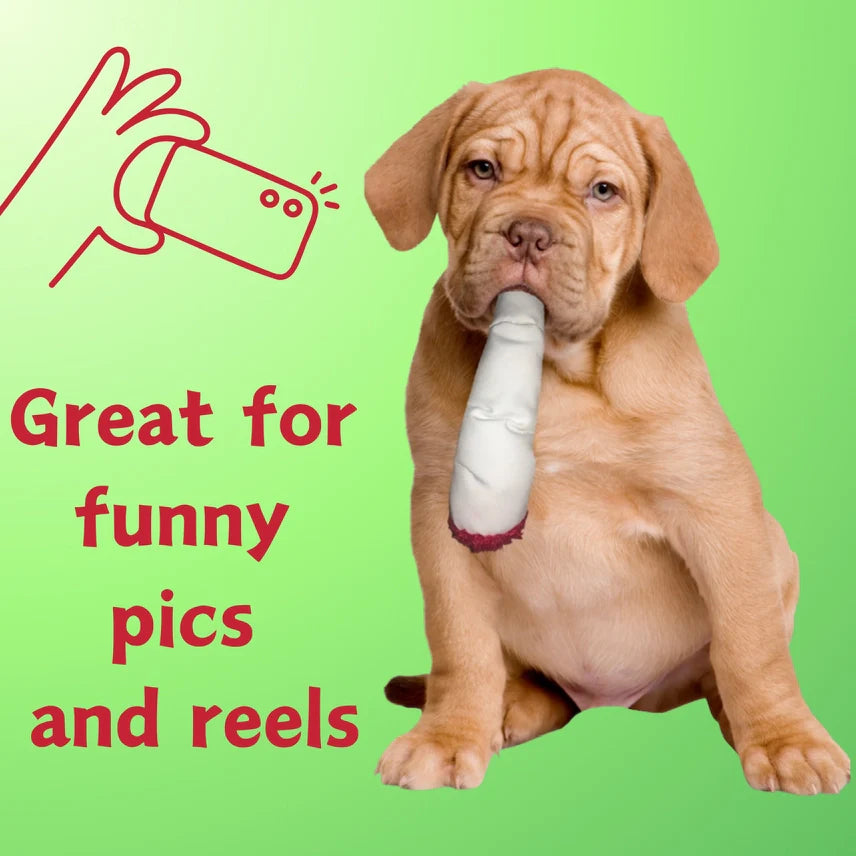 Jay the Joint, Cute Stuffed Dog Toy