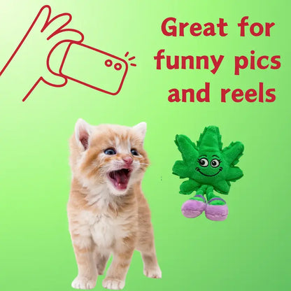 Lil' Mary Jane the Weed Leaf, Stuffed Cat Toy