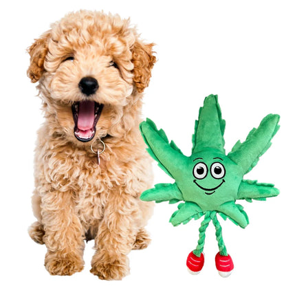 Mj the Weed Leaf, Dog Toy
