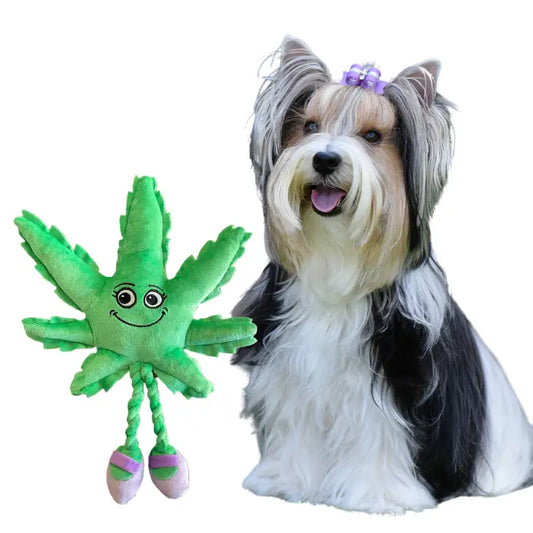 Mary Jane the Weed Leaf Dog Toy